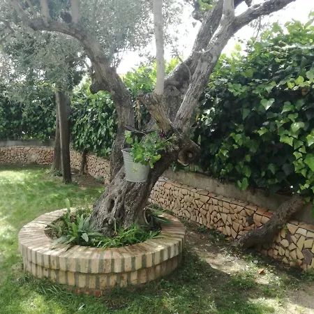 Casa Sonja - Comfortable Apartment *